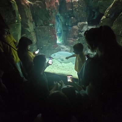 IMG-20260516-WA0082